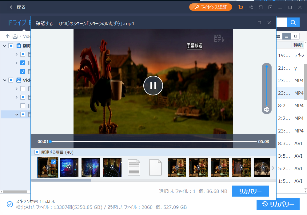 スキャンが完了した後、復元候補の動画ファイルは、再生して内容を確認することができます。